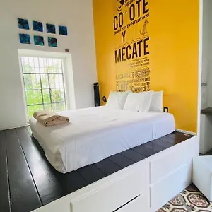Kuku Ruku 3* Queretaro